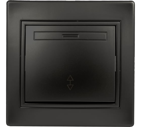 Одноклавишный переключатель Intro Plano 1-103-05 10А-250В, IP20, СУ, антрацит, Б0053750