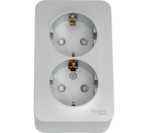 2-ая розетка Systeme Electric Blanca о/у без пласт. алюминий с/з со шт., 16А BLNRA011203