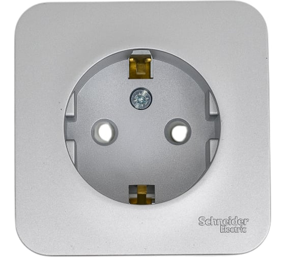 Розетка Systeme Electric Blanca о/у без пласт. алюминий с/з со шт., 16А BLNRA011103