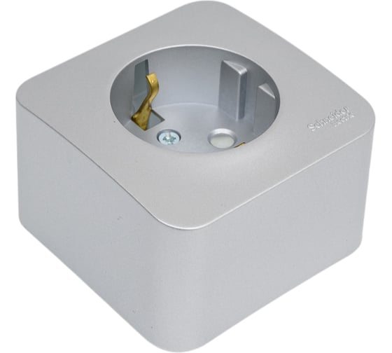Розетка Systeme Electric Blanca о/у без пласт. алюминий с/з со шт., 16А BLNRA011103