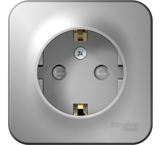 Розетка Systeme Electric Blanca о/у без пласт. алюминий с/з со шт., 16А BLNRA011103 1