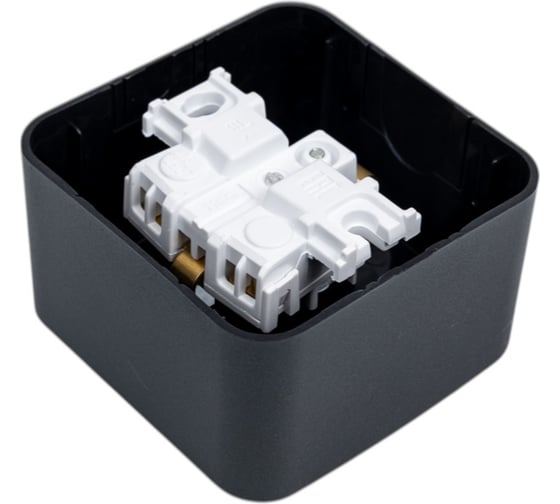 Розетка Systeme Electric Blanca о/у без пласт. антрацит с/з со шт., 16А BLNRA011106