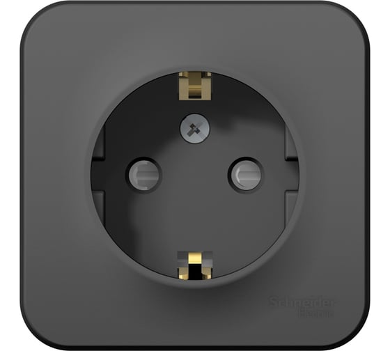 Розетка Systeme Electric Blanca о/у без пласт. антрацит с/з со шт., 16А BLNRA011106
