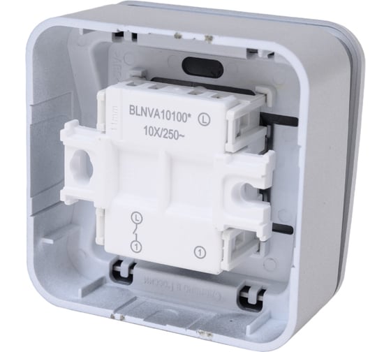 1-клавишный выключатель Systeme Electric Blanca о/у без пласт. алюминий, 10А BLNVA101003