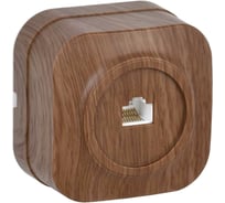 1-ая компьютерная розетка IEK GLORY РК10-ХД открытой установки, дуб EKH10-K24