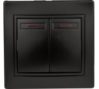 Выключатель Intro Plano 1-105-05 двухклавишный с подсветкой, 10А-250В, IP20, СУ, антрацит, Б0053780