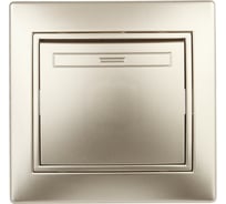 Выключатель Intro Plano 1-101-04 одноклавишный, 10А-250В, IP20, СУ, шампань, Б0053724