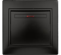 Выключатель Intro Plano 1-102-05 одноклавишный с подсветкой, 10А-250В, IP20, СУ, антрацит, Б0053734