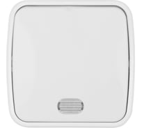 Выключатель белый 1-клавишный открытой установки с подсветкой TDM ELECTRIC IP20 10А, серия "Дача" Народная SQ1824-0005
