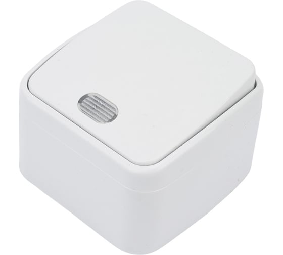 1-клавишный выключатель TDM ELECTRIC открытой установки с подсветкой IP20 10А, белый "Дача" Народная SQ1824-0005