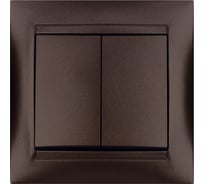 Выключатель 2-х клавишный TDM ELECTRIC 10А, шоколад, серия "Лама" SQ1815-0502