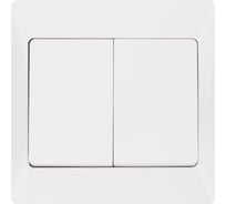 2-клавишный выключатель TDM ELECTRIC 10А белый "Ильмень" TDM ELECTRIC SQ1823-0002