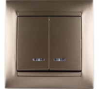 Выключатель 2 клавишный с подсветкой TDM ELECTRIC 10А бронза серия "Лама" SQ1815-0705