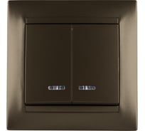 Выключатель 2 клавишный с подсветкой TDM ELECTRIC 10А бронза серия "Лама" SQ1815-0705