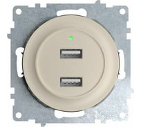 Двойная USB розетка с подсветкой OneKeyElectro, цвет бежевый 2260090