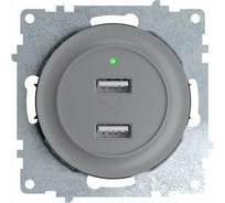 Двойная USB розетка с подсветкой OneKeyElectro, цвет серый 2260091
