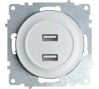 Двойная USB розетка с подсветкой OneKeyElectro, цвет белый 2260089