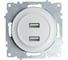 Двойная USB розетка с подсветкой OneKeyElectro, цвет белый 2260089 1
