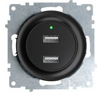 Двойная USB розетка с подсветкой OneKeyElectro, цвет черный 2260092