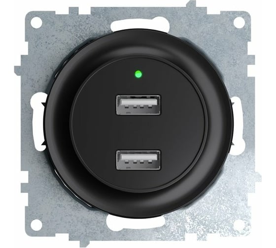 Двойная USB розетка с подсветкой OneKeyElectro, цвет черный 2260092