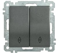 Выключатель IEK ВС10-2-2-Б 2 клавишный проходной 10А BOLERO антрацит EVB22-K95-10