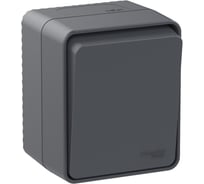 Переключатель 1-клавишный AtlasDesign Profi IP54, 10 АХ, открытой установки, Антрацит Systeme Electric ATN544061