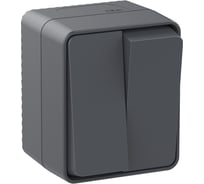 2-клавишный выключатель Systeme Electric AtlasDesign PROFI IP54 открытой установки 10 АХ, антрацит ATN544051