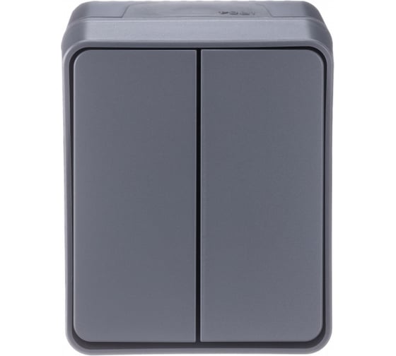 2-клавишный выключатель Systeme Electric AtlasDesign PROFI IP54 открытой установки 10 АХ, антрацит ATN544051