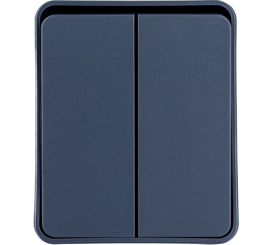 2-клавишный выключатель Systeme Electric AtlasDesign PROFI IP54 открытой установки 10 АХ, антрацит ATN544051