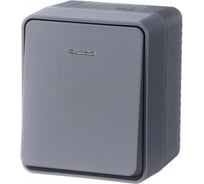 Выключатель 1-клавишный с подсветкой Systeme Electric AtlasDesign Profi IP54, 10 АХ, открытой установки, Антрацит ATN544013