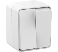 Выключатель 2-клавишный AtlasDesign Profi IP54, 10 АХ, открытой установки, Белый Systeme Electric ATN540151