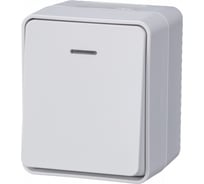 Выключатель 1-клавишный с подсветкой Systeme Electric AtlasDesign Profi IP54, 10 АХ, открытой установки, Белый ATN540113