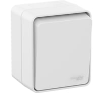 Выключатель 1-клавишный AtlasDesign Profi IP54, 10 АХ, открытой установки, Белый Systeme Electric ATN540111