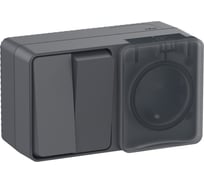 Блок: Розетка с заземлением со шторками, 16 АХ, 250 В, Выключатель 2-клавишный, 10 АХ, AtlasDesign Profi IP54, открытой установки, Антрацит Systeme Electric ATN544074