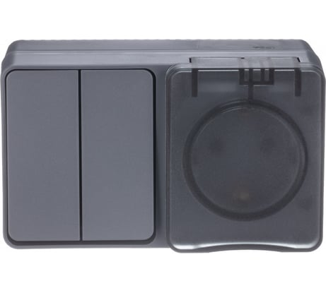 Блок: Розетка с заземлением со шторками, 16 АХ, 250 В, Выключатель 2-клавишный, 10 АХ, AtlasDesign Profi IP54, открытой установки, Антрацит Systeme Electric ATN544074