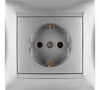 Розетка TDM ELECTRIC 2П+З 16А 250В серебро металлик "Лама" SQ1815-0223