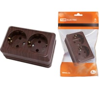 Двойная розетка TDM ELECTRIC 2П+3 открытой установки IP20 16А 250В (керамика) бук "Ладога" TDM ELECTRIC SQ1801-0313