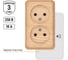 Двойная розетка TDM ELECTRIC 2П открытой установки IP20 10А 250В (керамика) сосна "Ладога" TDM ELECTRIC SQ1801-0412 3