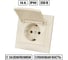 Розетка TDM ELECTRIC 2П+З 16А 250В IP44 с крышкой слоновая кость Лама SQ1815-0126 2
