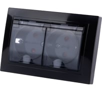 Двойная розетка TDM ELECTRIC 2П+З с защитными шторками и прозрачной крышкой 16А 250В IP44 антрацит Таймыр SQ1814-0877