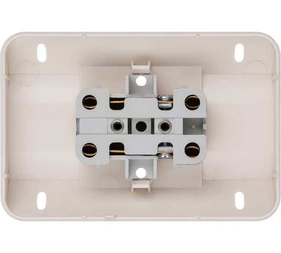 Двойная угловая розетка TDM ELECTRIC 2П открытой установки с защитными шторками IP20 250В 10А слолоная кость "Ладога" SQ1801-0242