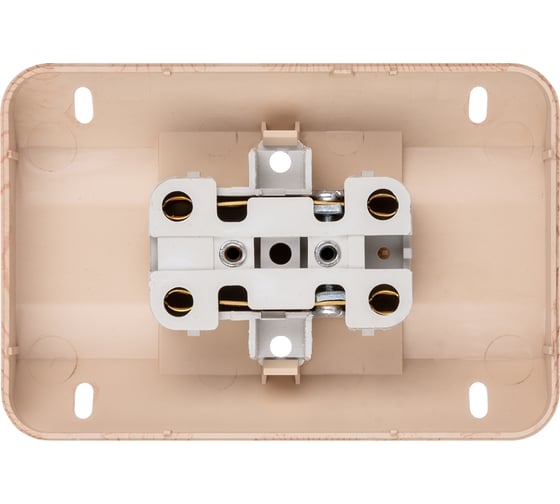 Двойная угловая розетка TDM ELECTRIC 2П открытой установки с защитными шторками IP20 250В 10А сосна "Ладога" SQ1801-0442