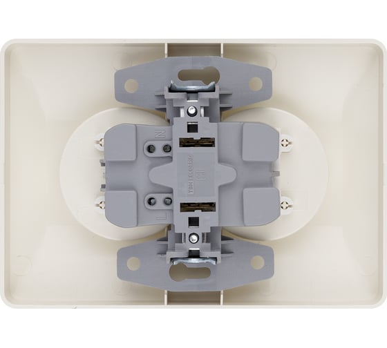 Двойная розетка TDM ELECTRIC 2П с защитными шторками 10А 250В слоновая кость "Ильмень" SQ1823-0115