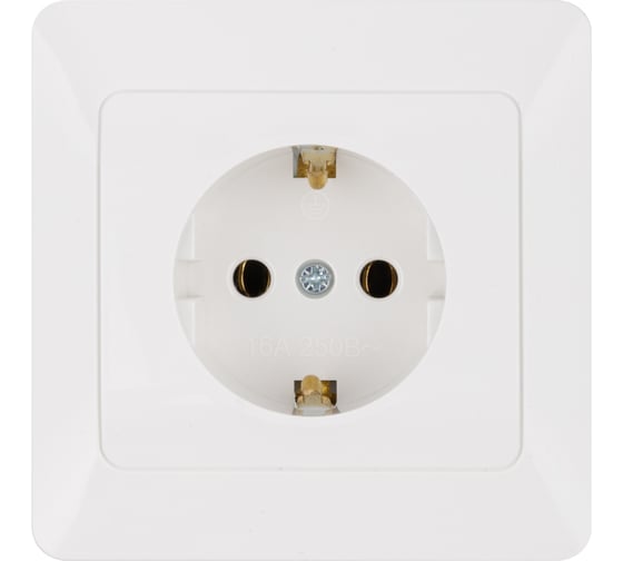 Розетка встраиваемая с заземлением 2-х полюсная 16А 220В белая "Ильмень" TDM ELECTRIC SQ1823-0010