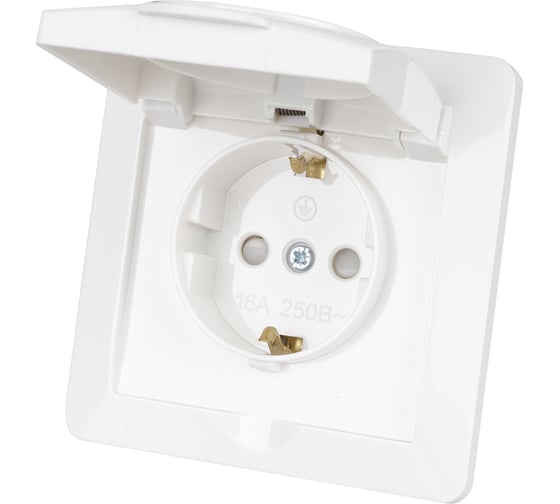 Розетка TDM ELECTRIC 2П+З с защитными шторками и крышкой 16А 250В IP44 белая "Ильмень" SQ1823-0017