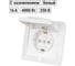 Розетка TDM ELECTRIC 2П+З с защитными шторками и крышкой 16А 250В IP44 белая "Ильмень" SQ1823-0017 3