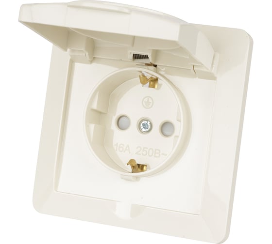Розетка TDM ELECTRIC 2П+З с защитными шторками и крышкой 16А 250В IP44 слоновая кость "Ильмень" SQ1823-0117