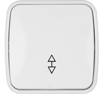 Переключатель белый, на 2 направления 1-клавишный TDM ELECTRIC, открытой установки IP20 10А серия "Дача" Народная SQ1824-0003