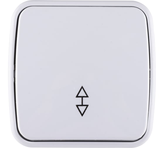 1-клавишный переключатель на 2 направления TDM ELECTRIC открытой установки IP20 10А, белый "Дача" Народная SQ1824-0003