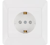 Розетка TDM ELECTRIC 2П+З с защитными шторками 16А 250В белая "Ильмень" SQ1823-0014